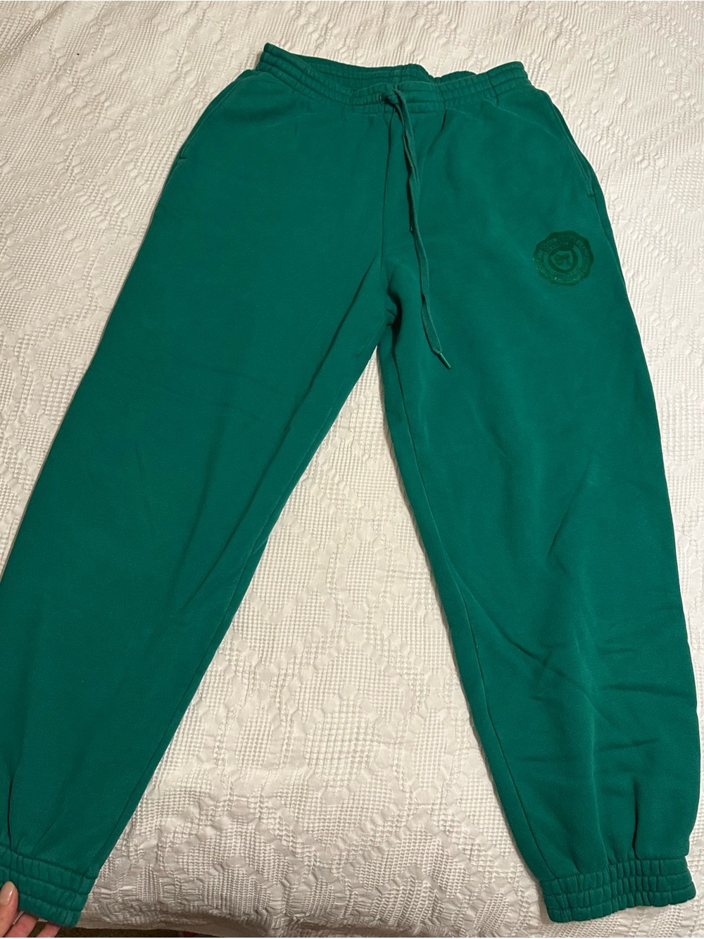 Hollister social tourist green sweatpant joggers size medium